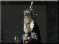 fUENSANTA